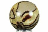 Polished Septarian Sphere - Madagascar #230394-1